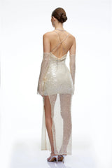 Valeria Neutral Halterneck Sequin Maxi Dress